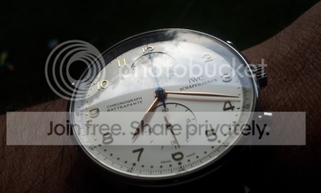 i513.photobucket.com/albums/t334/fdroguett/IWC/2011-11-26191936.jpg