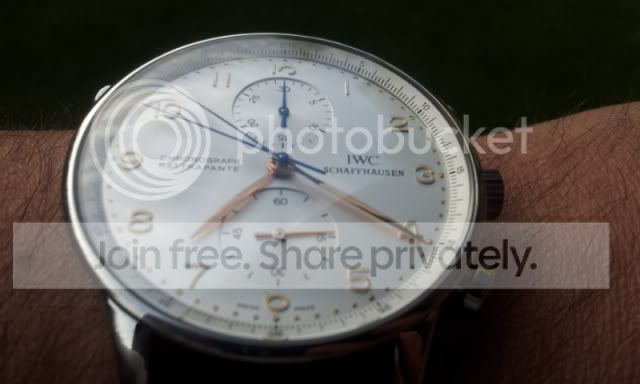 i513.photobucket.com/albums/t334/fdroguett/IWC/2011-11-26192122.jpg