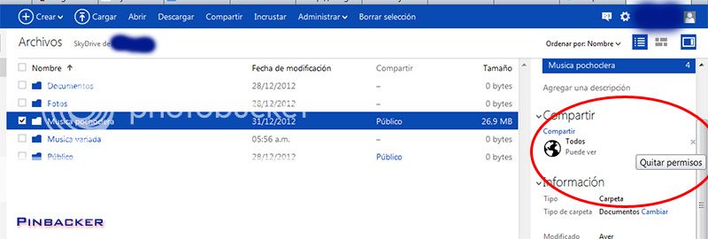 Cómo se usa Skydrive? Guía completa!