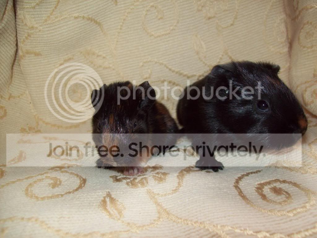 100_1452.jpg