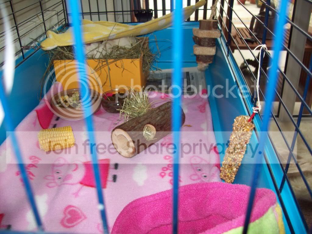 100_1767.jpg