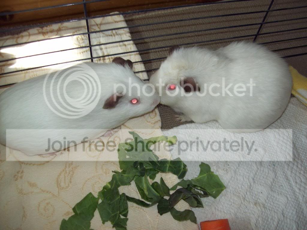 100_1794.jpg
